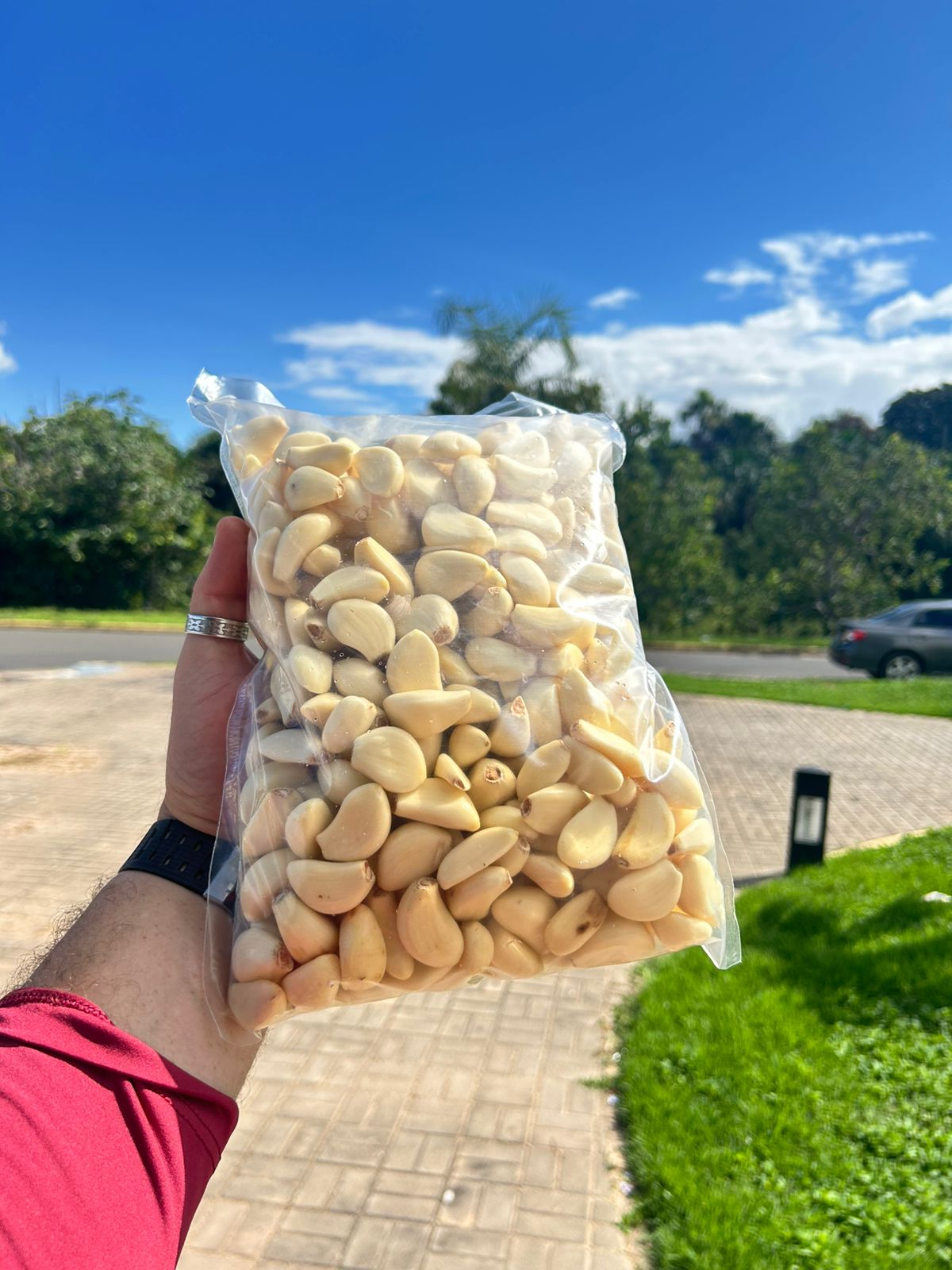 Verso embalagem alho 1kg Menina dos Raios RR