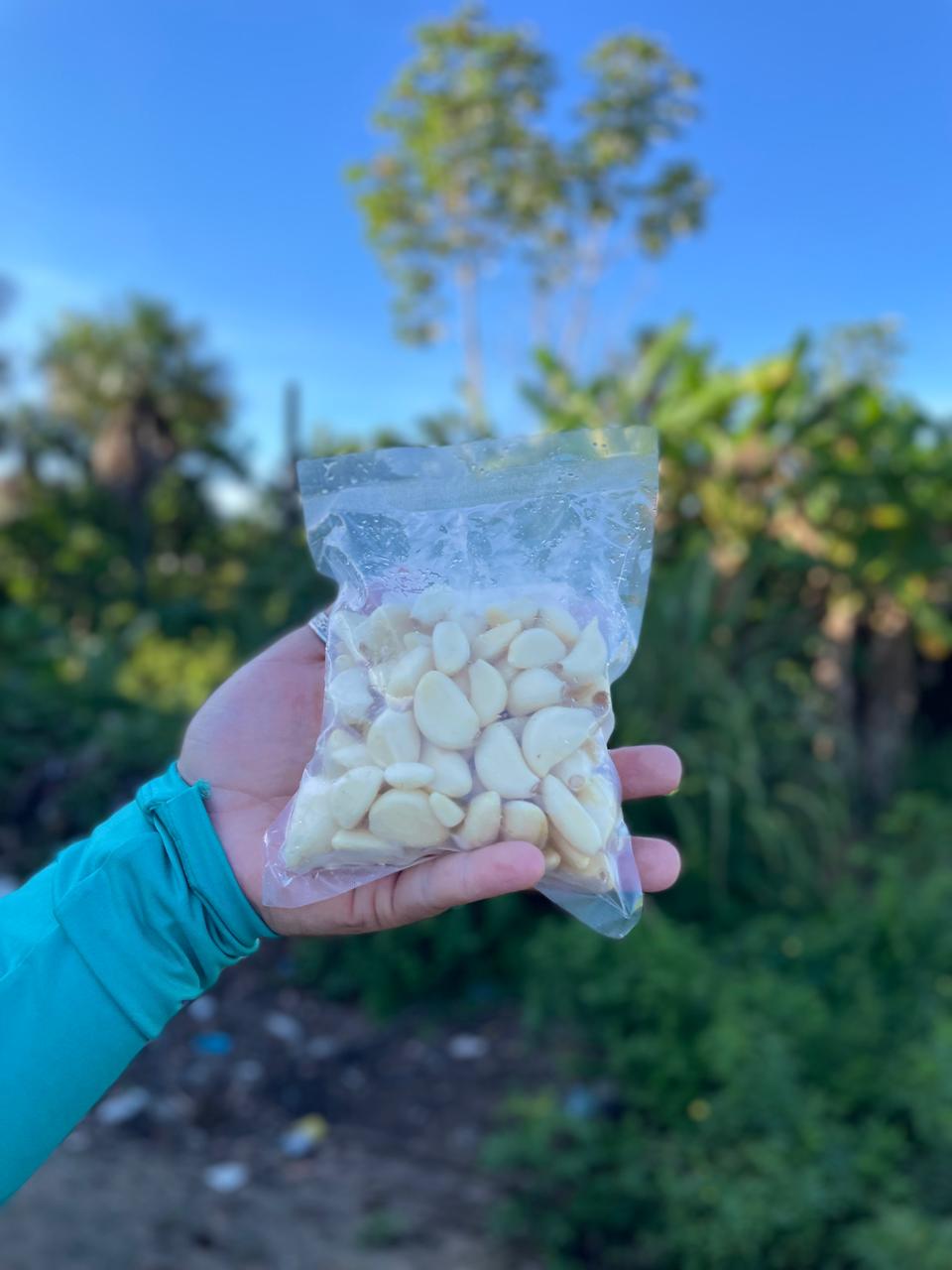 Verso embalagem alho descascado 250g Menina dos Raios